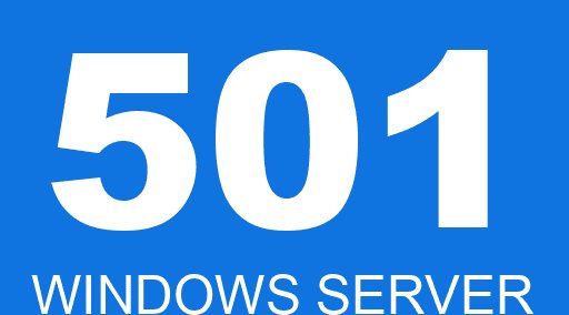 501 WINDOWS SERVER