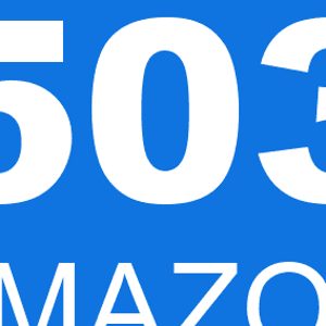 Amazon Flex error code 503 is a server error that can be caused by a number of things, including but not limited to: