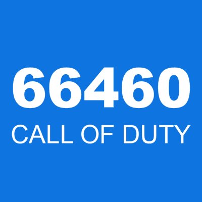 66460 CALL OF DUTY