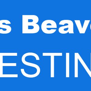 Destiny 2 Beaver is an error code that can occur when playing the game