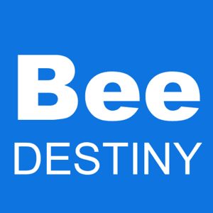 Destiny 2 error code bee is a network error that can be caused by a number of factors