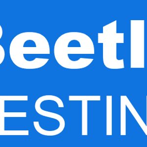 The Destiny Error Beetle is a bug that can cause the game to crash when trying to load into a map