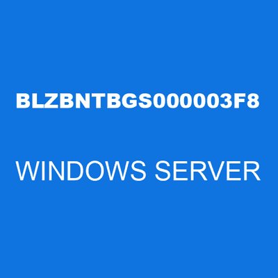 BLZBNTBGS000003F8 WINDOWS SERVER