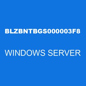 The BLZBNTBGS000003F8 error code is a Blizzard server error that typically occurs when the game client is unable to connect to the Blizzard servers