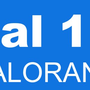 Error code val 19 is an error that can occur when trying to install or update a game or application on a computer
