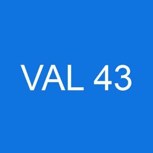 Validation error code 43 occurs when an invalid character is entered in a field that only allows numeric characters