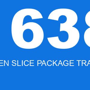 Exit code 1638 is a Windows error code that indicates that an attempt to install a package failed because another package with a higher version number is already installed