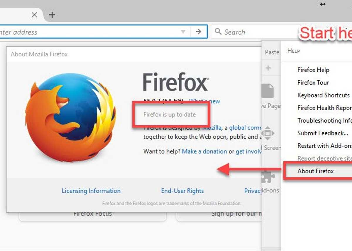 Update Mozilla Firefox and Adobe Flash Player