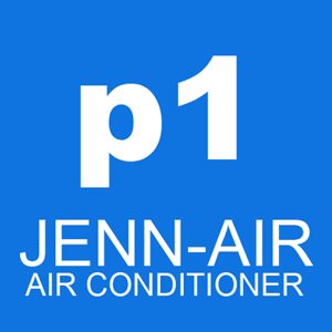 P1 error on air conditioner is caused by the unit's inability to properly circulate air