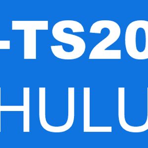Hulu error p-ts207 is caused by a problem with the Hulu servers