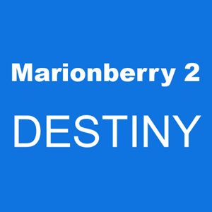 The marionberry destiny 2 error code is a bug that can occur when using the game's map features