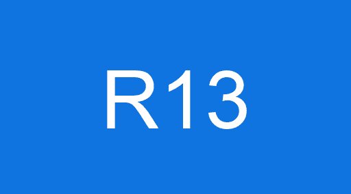 R13