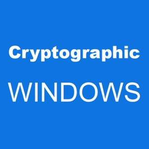 Windows Cryptographic Service Provider reported an error: The keyset is not defined
