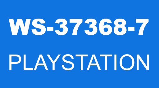 WS-37368-7 PLAYSTATION