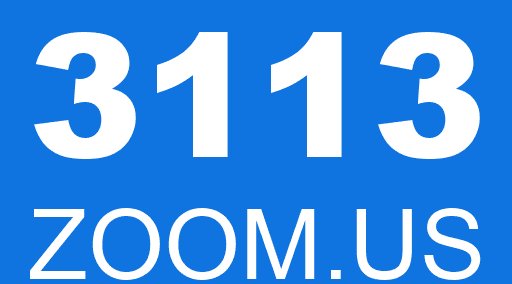 3113 ZOOM.US