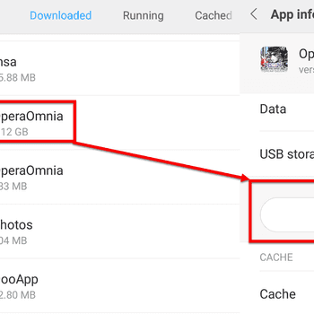 Delete Application Data
