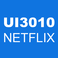 UI3010 NETFLIX