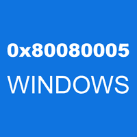 0x80080005 WINDOWS
