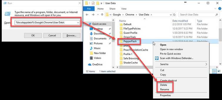 Delete  PepperFlash folder