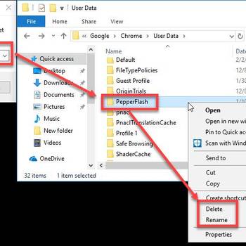 Delete  PepperFlash folder