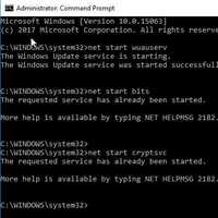 Restart Windows Update services