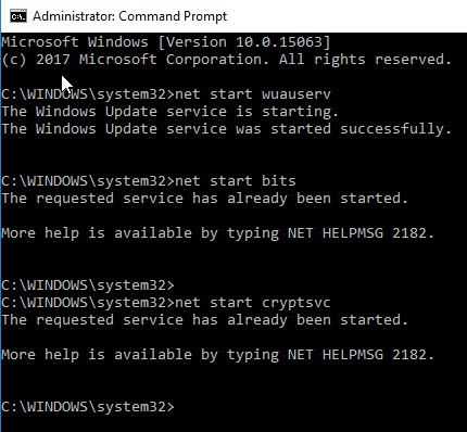 Restart Windows Update services