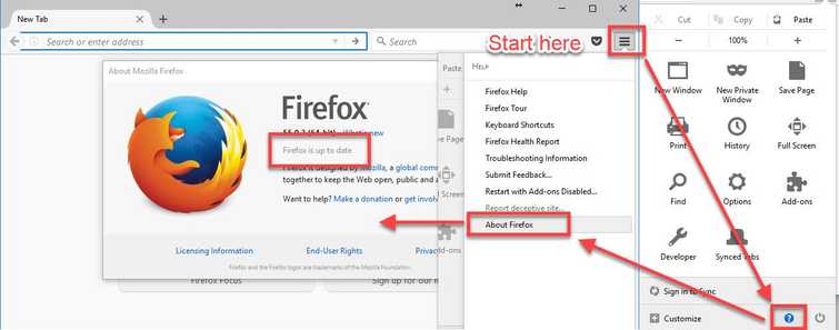 Update Mozilla Firefox and Adobe Flash Player
